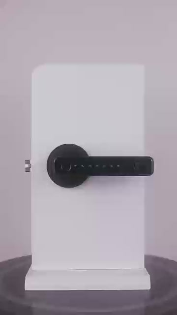 Smart Electronic Fingerprint Password + Card Lock